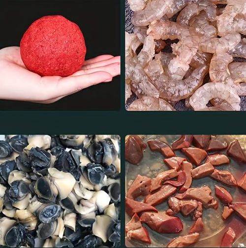 Automatic Opening & Closing Fishing Net Cage Automatic Opening & Closing Fishing Net Cage Automatic Opening & Closing Fishing Net Cage Automatic Opening & Closing Fishing Net Cage Automatic Opening & Closing Fishing Net Cage Automatic Opening & Closing Fishing Net Cage Automatic Opening & Closing Fishing Net Cage