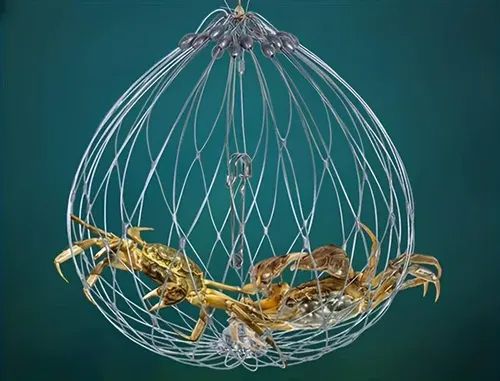 Automatic Opening & Closing Fishing Net Cage Automatic Opening & Closing Fishing Net Cage Automatic Opening & Closing Fishing Net Cage Automatic Opening & Closing Fishing Net Cage Automatic Opening & Closing Fishing Net Cage Automatic Opening & Closing Fishing Net Cage Automatic Opening & Closing Fishing Net Cage