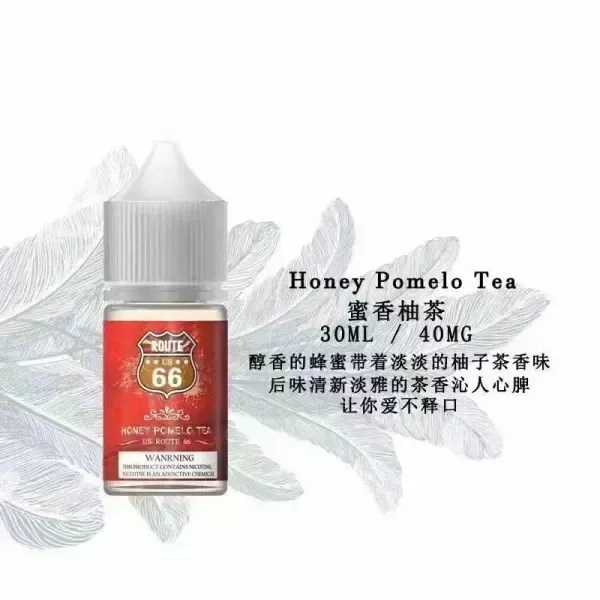ROUTE 66 40mg丁鹽煙油 30ml｜美國原裝進口小煙專用｜台灣現貨免運