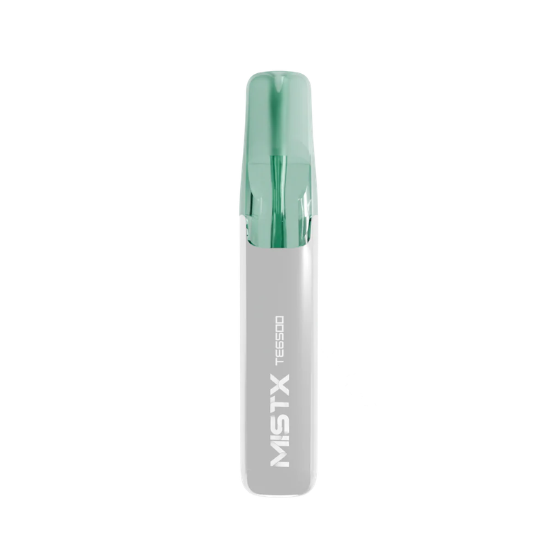 MIST X 鴨嘴獸6500口長效可拋式電子煙 台灣本地現貨 官方正品快速發貨 多種潮流口味選擇