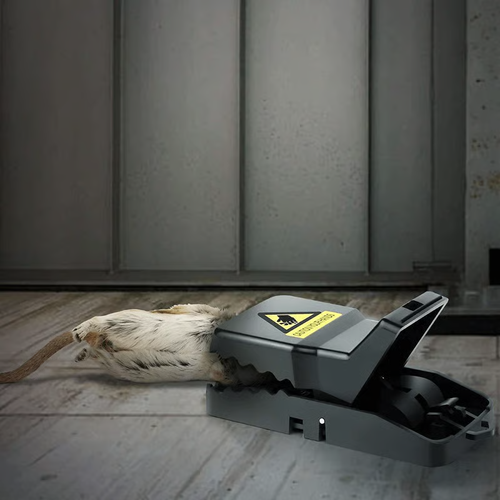 buy 1 get 5 free✨2025 NEW Quick Effective Sanitary Safe Mouse Trap Catcher