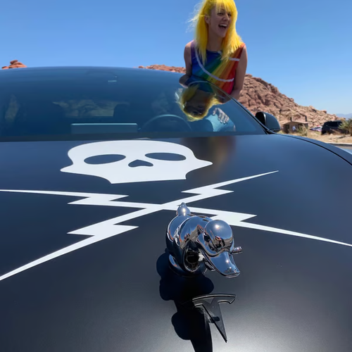 🔥 Angry  Duck Hood Ornament Death Proof