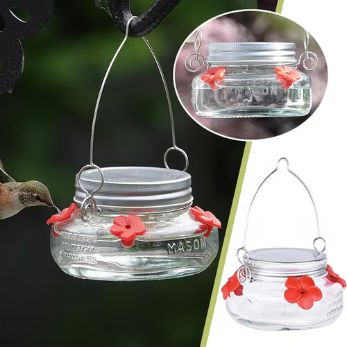 Beautiful Plastic Jar Hummingbird Feeder Four Ports