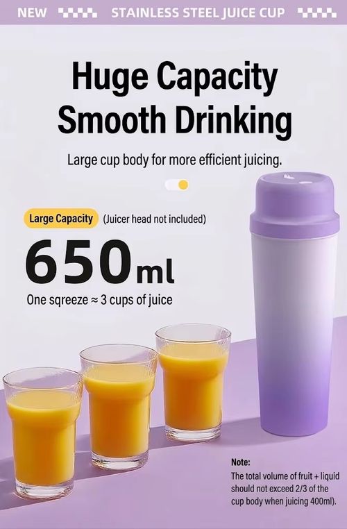 Electric Juicer Bottle 5-Layer Insulation