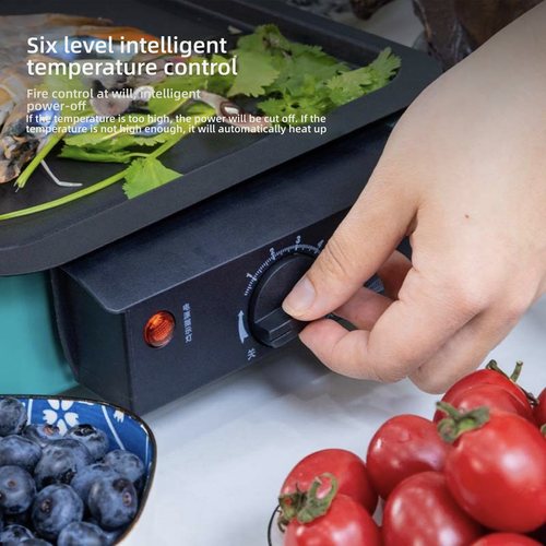 BBQ Electric Grill