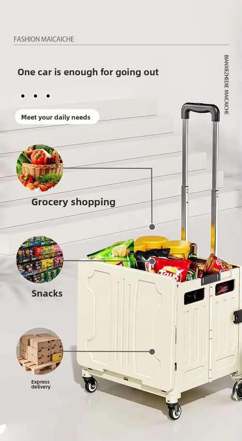 Portable Folding Shopping Cart