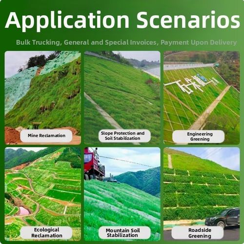 Buy 2 Get 1 Free 🔥⏰Last Day Promotion - 🌱 Evergreen dwarf grass seed for four seasons🌾 | Create your perfect lawn here🌼