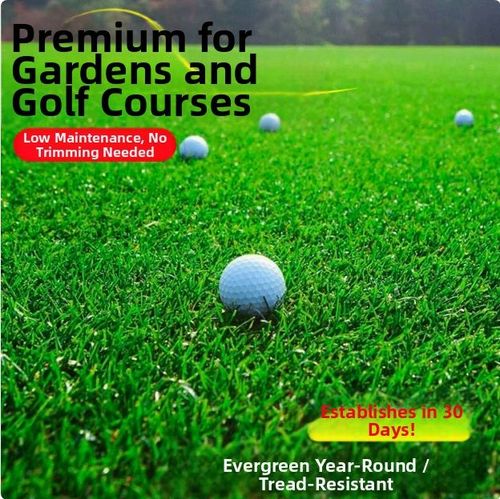 Buy 2 Get 1 Free 🔥⏰Last Day Promotion - 🌱 Evergreen dwarf grass seed for four seasons🌾 | Create your perfect lawn here🌼