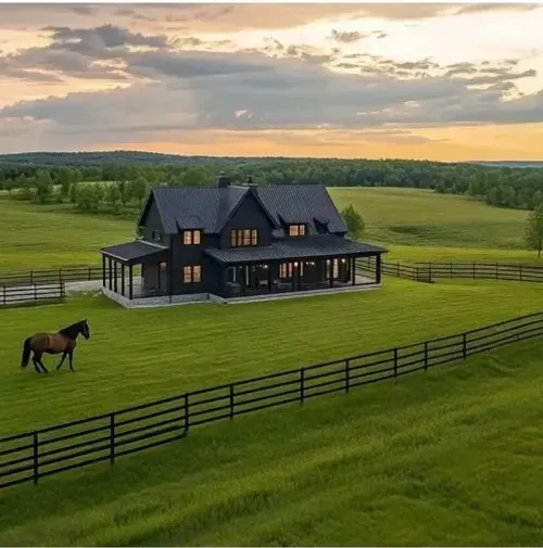 Buy 2 Get 1 Free 🔥⏰Last Day Promotion - 🌱 Evergreen dwarf grass seed for four seasons🌾 | Create your perfect lawn here🌼