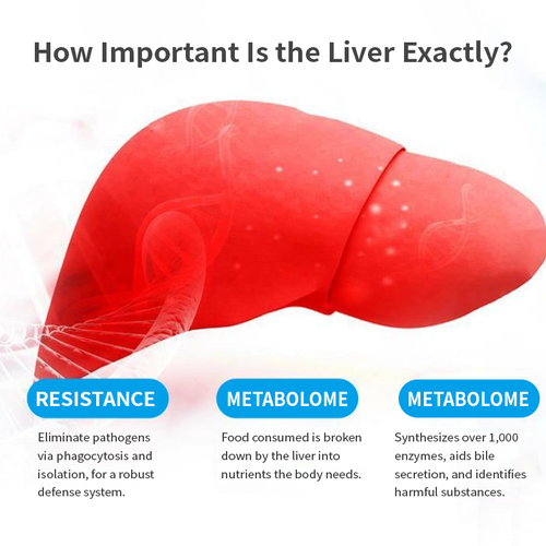 Milk thistle capsules are an adult liver detox supplement.