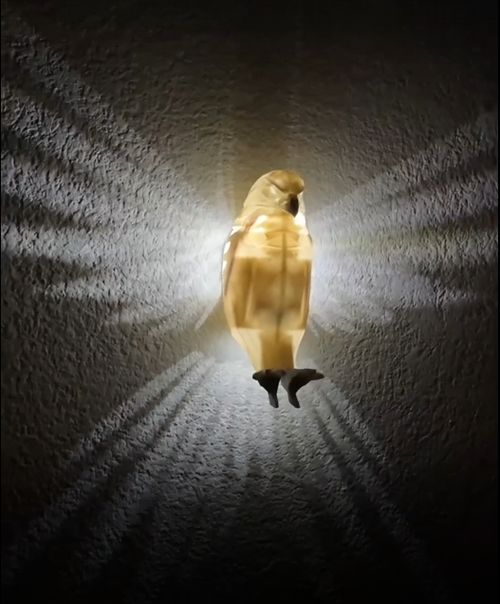 Eagle Shape Modern Creative Atmosphere: 3D-Printed Elegance for a Soaring Ambience