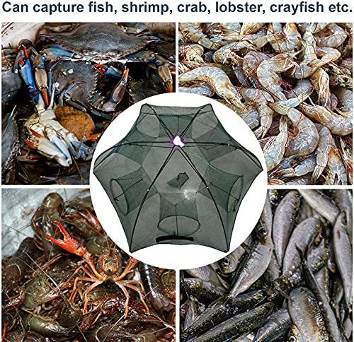 ❤LAST DAY 49% OFF🔥The Magic Fishing Trap⛺︎