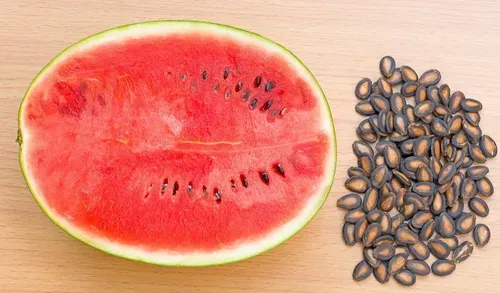 🔥Last day to get over 50% off🔥 Seedless watermelon seeds for high yield and quality, easy to grow rich melons! 🍉