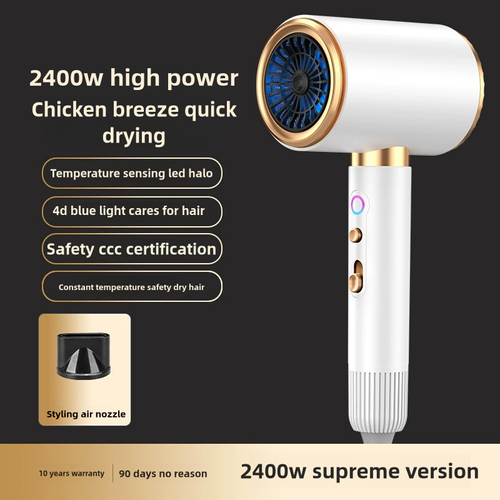2400W High Speed Hair Dryer Adjustable Portable Negative Ion Blower Electric Ionic Salon Household Hair Dryer