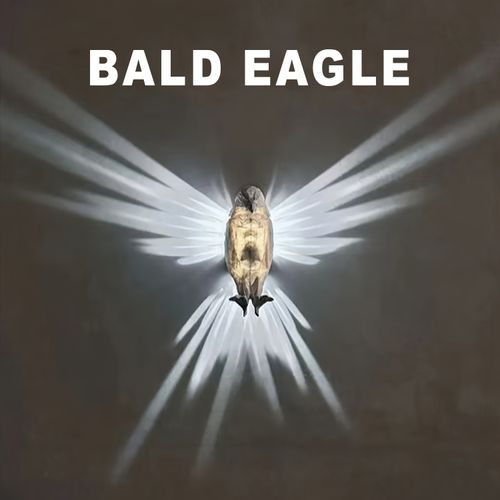 Eagle Shape Modern Creative Atmosphere: 3D-Printed Elegance for a Soaring Ambience