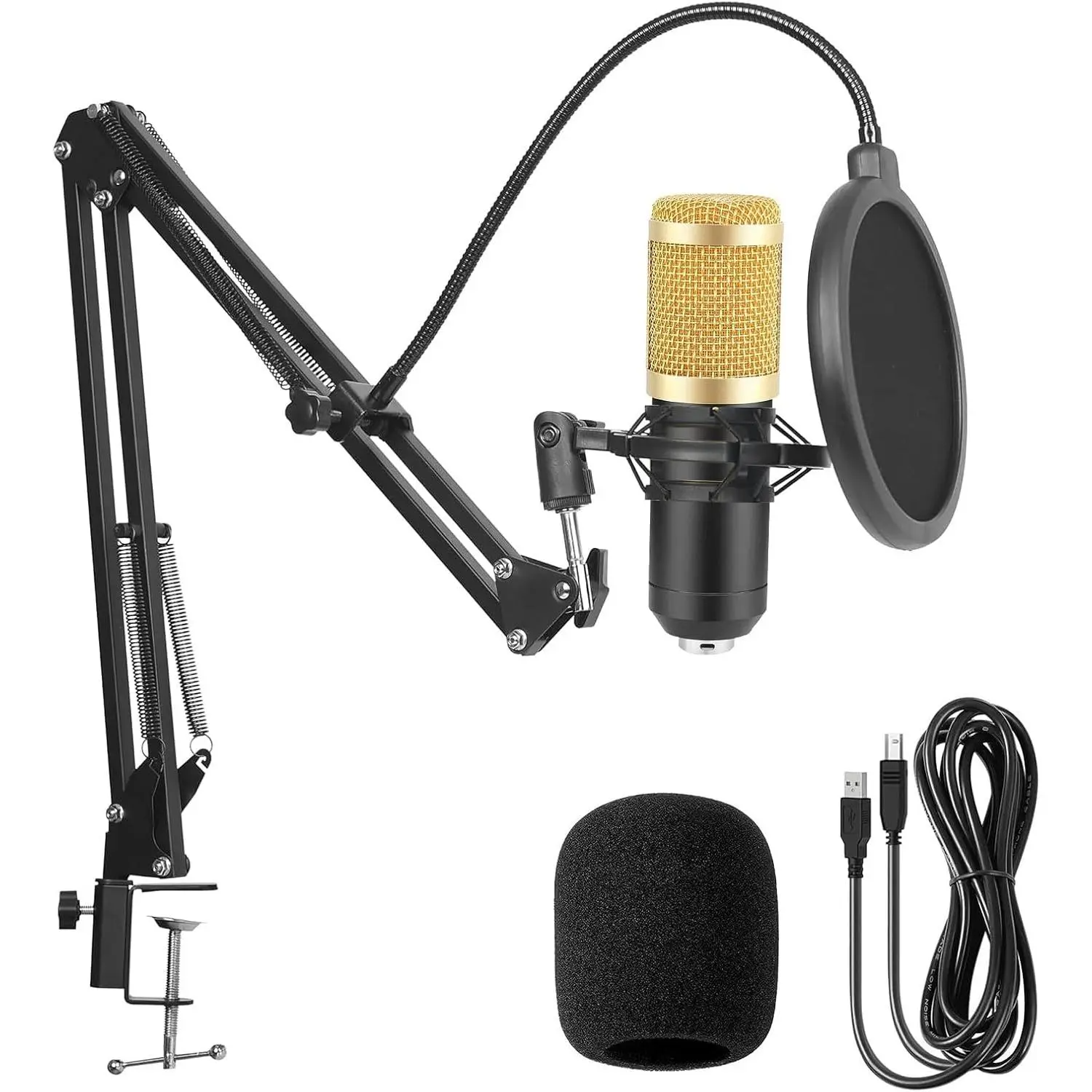 Professional microphone recording kit