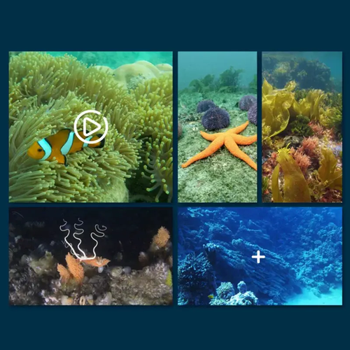 Mini Wi-Fi Remote Control Boat