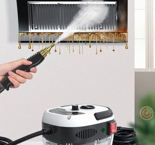 Handheld portable steam cleaner