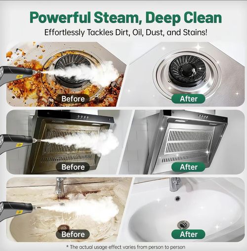 Handheld portable steam cleaner