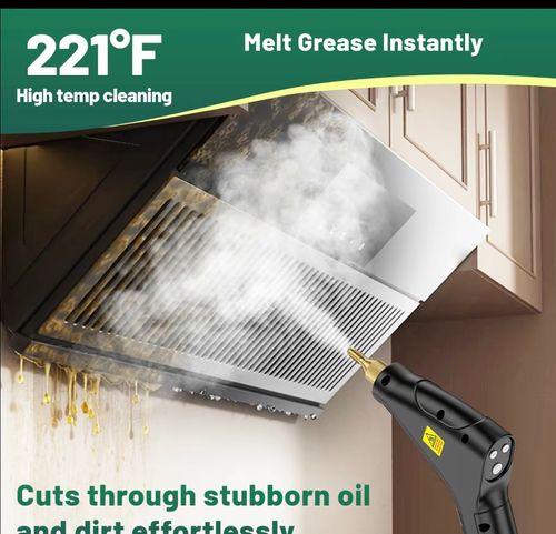 Handheld portable steam cleaner