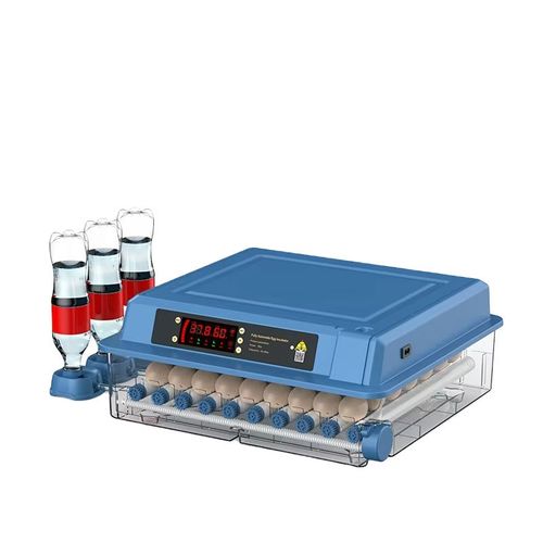 Fully automatic egg incubator