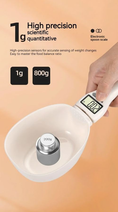 Electronic Measuring Spoon