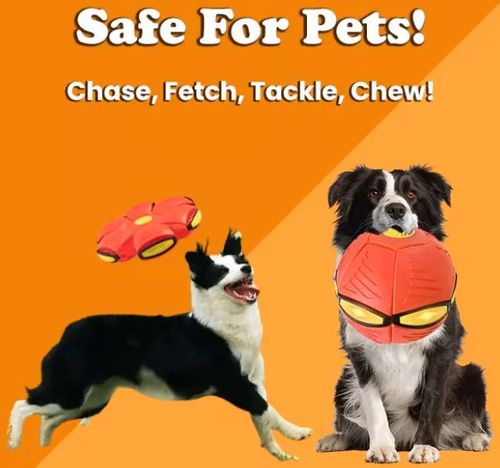 💥The Doggy Disc Ball💞