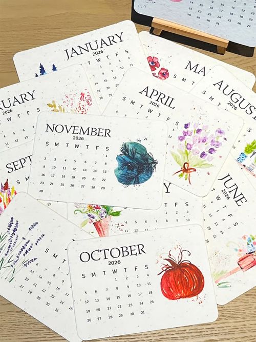 ✨🌱Eco-Friendly Plantable Love Seed Calendar 2026