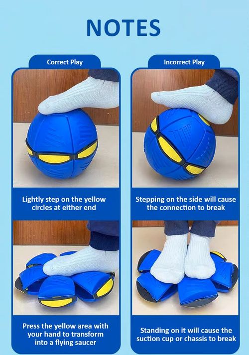 💥The Doggy Disc Ball💞