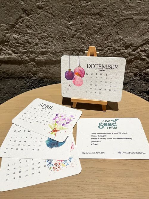 ✨🌱Eco-Friendly Plantable Love Seed Calendar 2026