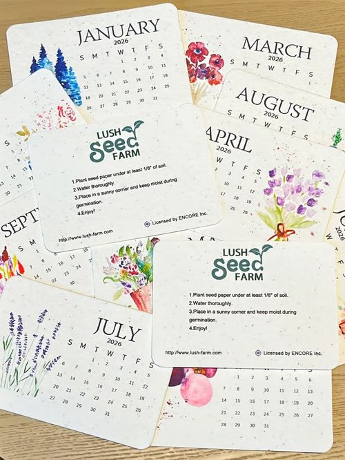 ✨🌱Eco-Friendly Plantable Love Seed Calendar 2026