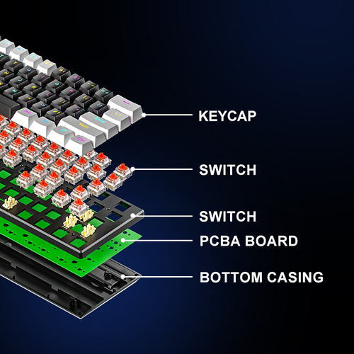 61 Key True Mechanical Gaming Keyboard Type C Wired 10 RGB Lighting Modes Hot Swappable Double Shot Keycaps