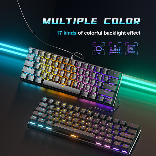 61 Key True Mechanical Gaming Keyboard Type C Wired 10 RGB Lighting Modes Hot Swappable Double Shot Keycaps