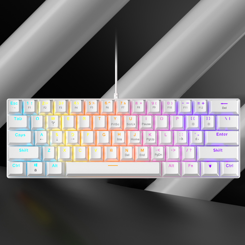 61 Key True Mechanical Gaming Keyboard Type C Wired 10 RGB Lighting Modes Hot Swappable Double Shot Keycaps