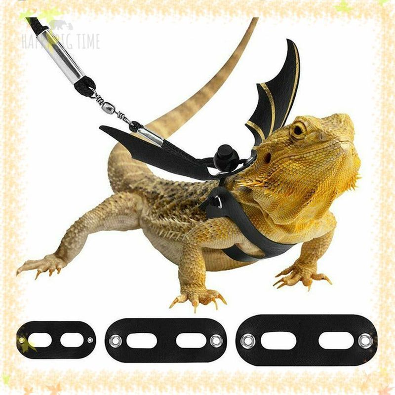 Lizard Leash Reptile Harness for Outdoor Pet Chameleon Squirrel
