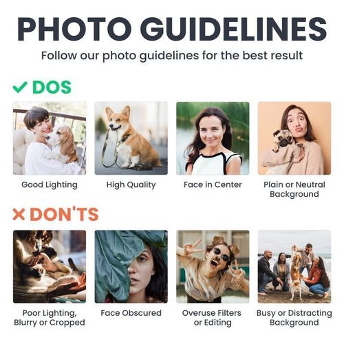 Custom photo visitors are to be certified by this dog