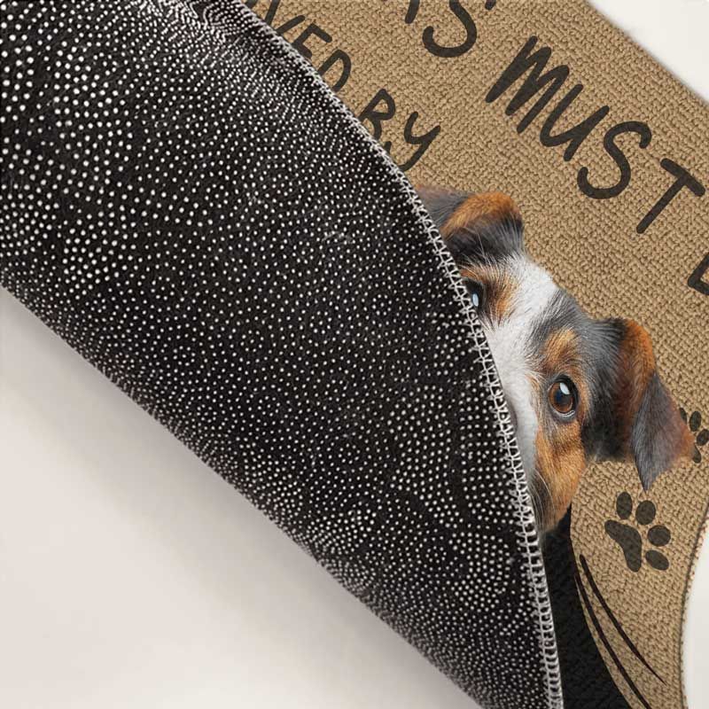 Custom photo visitors are to be certified by this dog