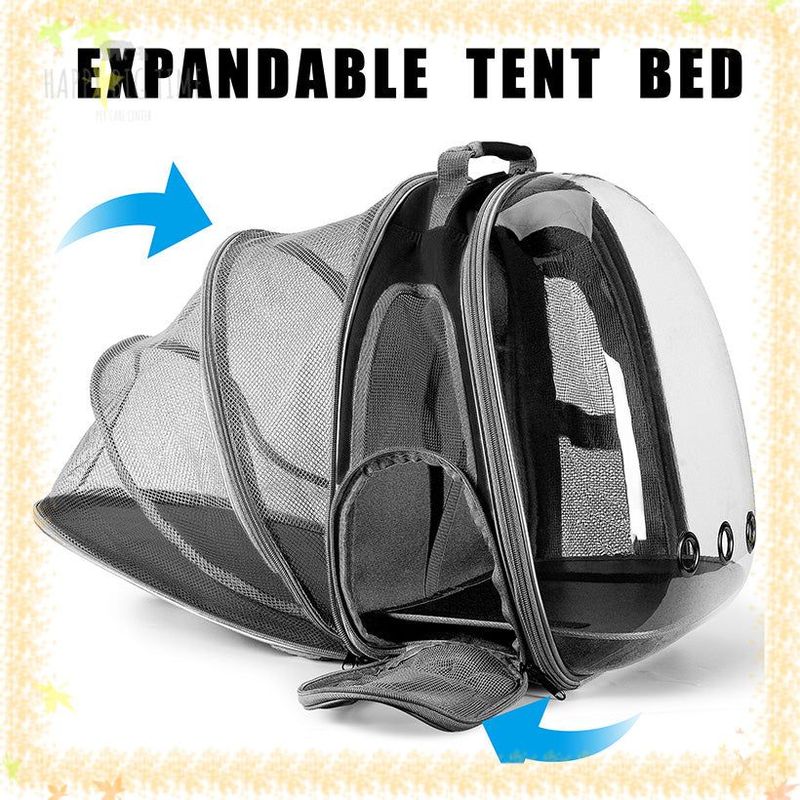 轻量级可扩展猫载体透明泡沫背包猫手提包背包航空公司认可的胶囊设计