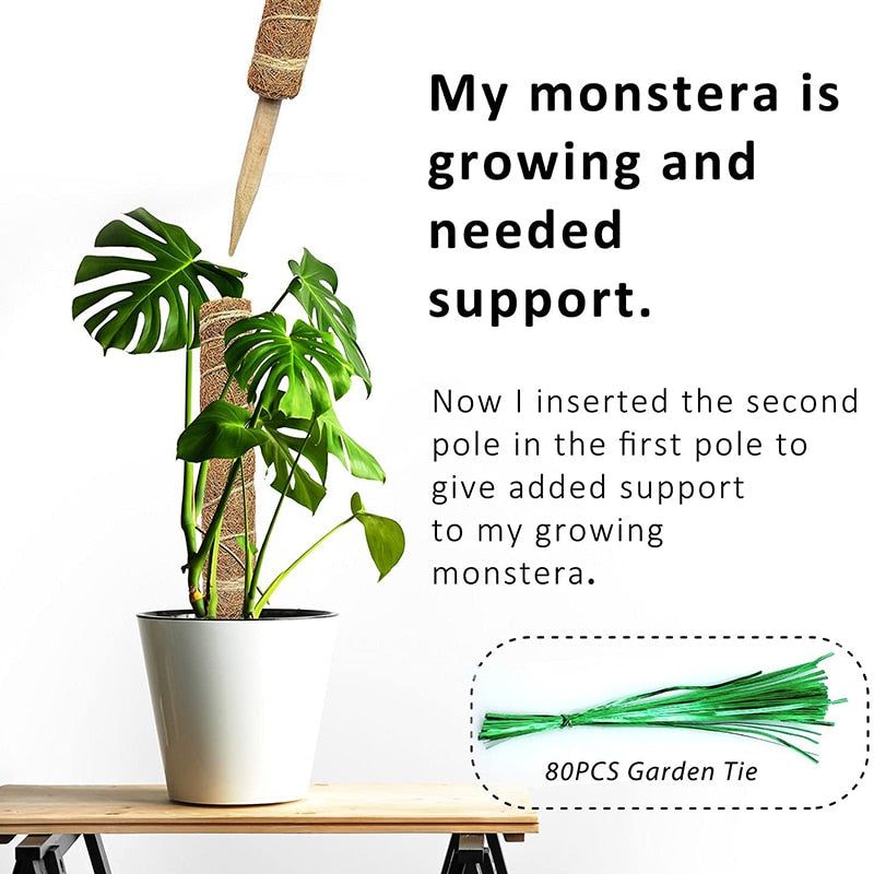 Plant Cages Supports Reusable Plant Climbing Stand Durable Flower Plants Support for Balcony Garden Courtyard Easy to Use 1PC