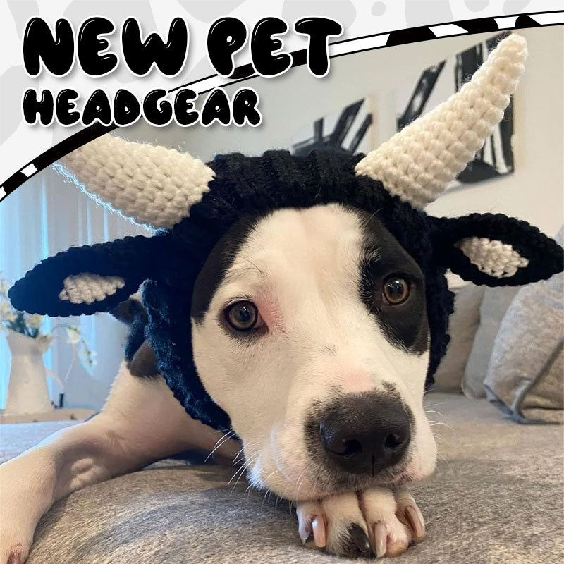 New Pet Headgear