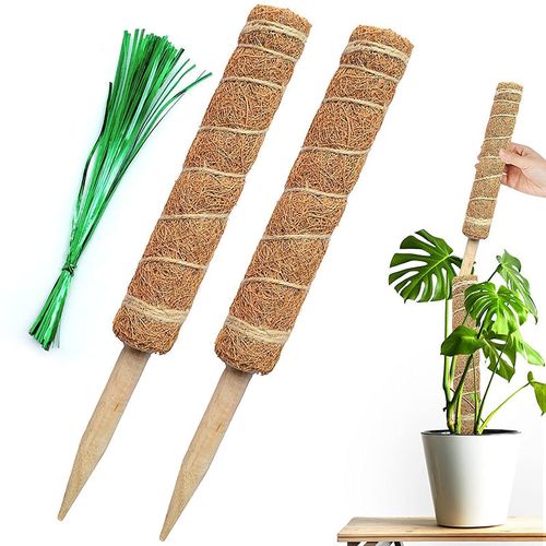 Plant Cages Supports Reusable Plant Climbing Stand Durable Flower Plants Support for Balcony Garden Courtyard Easy to Use 1PC