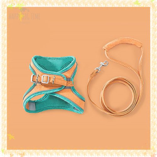 Pet Harness Leash Set Training