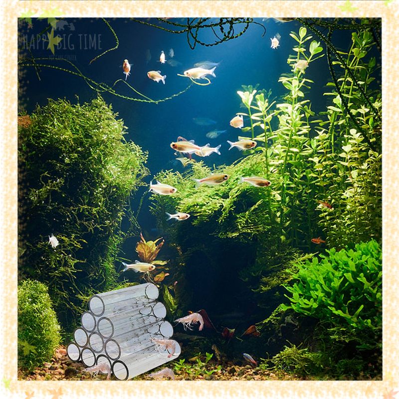 Transparent Acrylic Breeding Tube Shrimp Fish Hide Cave House Aquarium Decoration Supplies