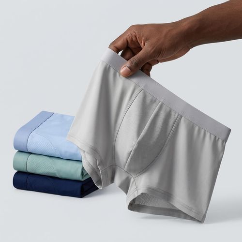 Mens Ice Silk Breathable Antibacterial Cooling Boxer Underwear 4pc