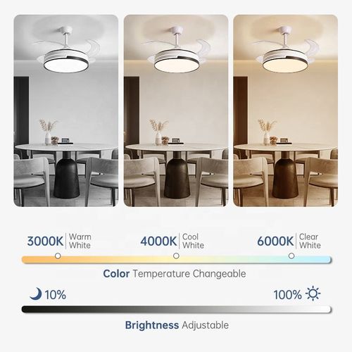 Ceiling Fan Lighting