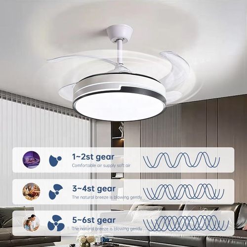 Ceiling Fan Lighting
