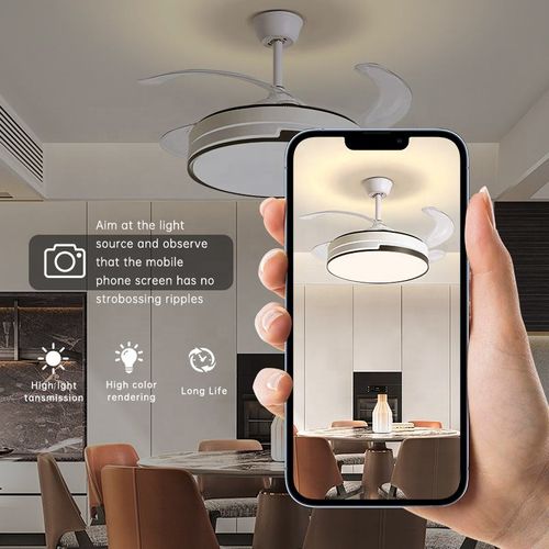Ceiling Fan Lighting