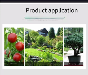 productThumbnail
