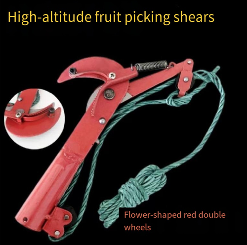 Colheita de frutos e poda