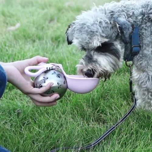 Portable Pet Water Bottle for Dogs Cats Outdoor Travel Drinking Feeder